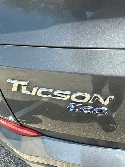 2017 Hyundai Tucson Eco
